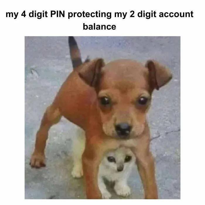 thomas_garrard's tweet photo. It do be like dat sometimes. https://t.co/5V6JbMH5sD