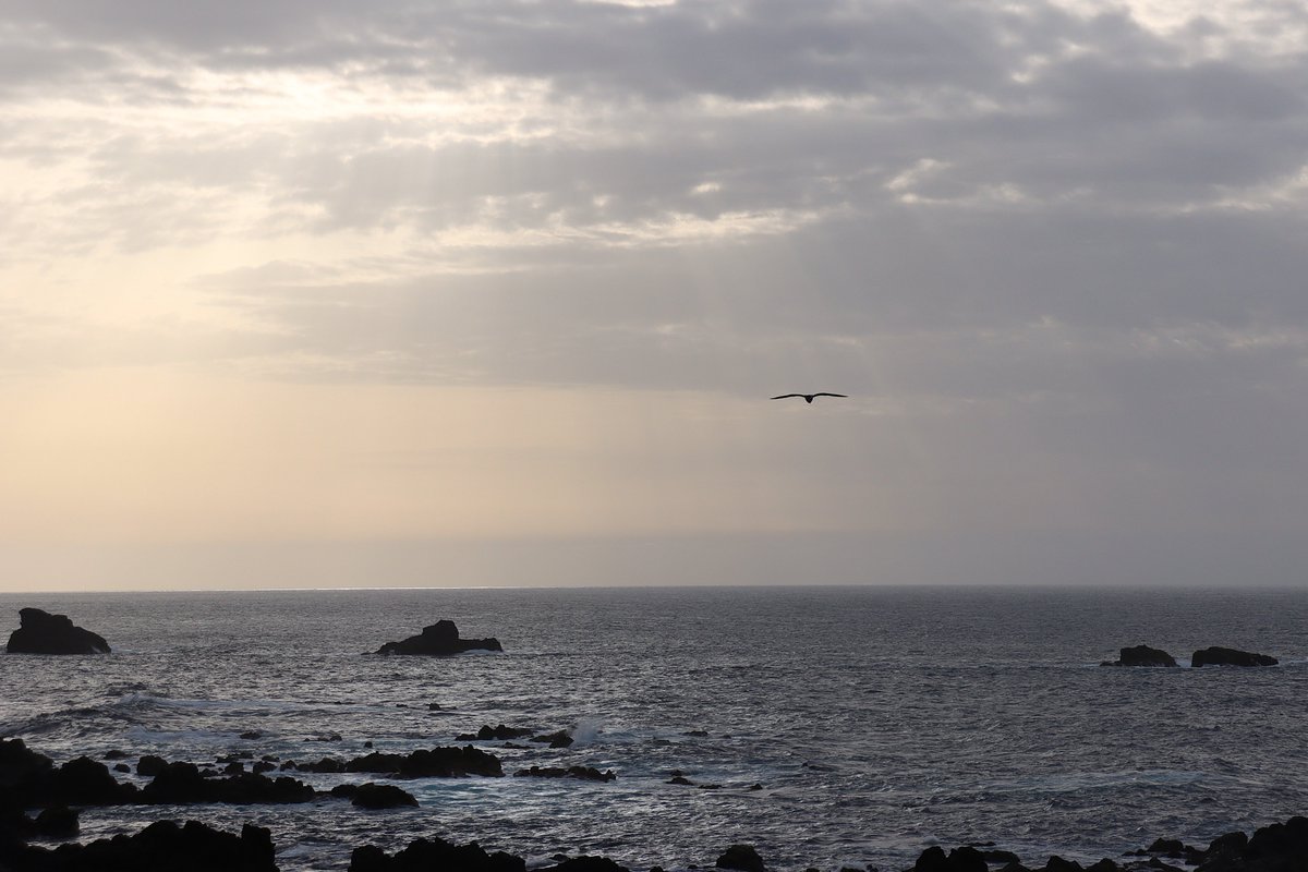 RITO PÉREZ GARCÍA tweet media