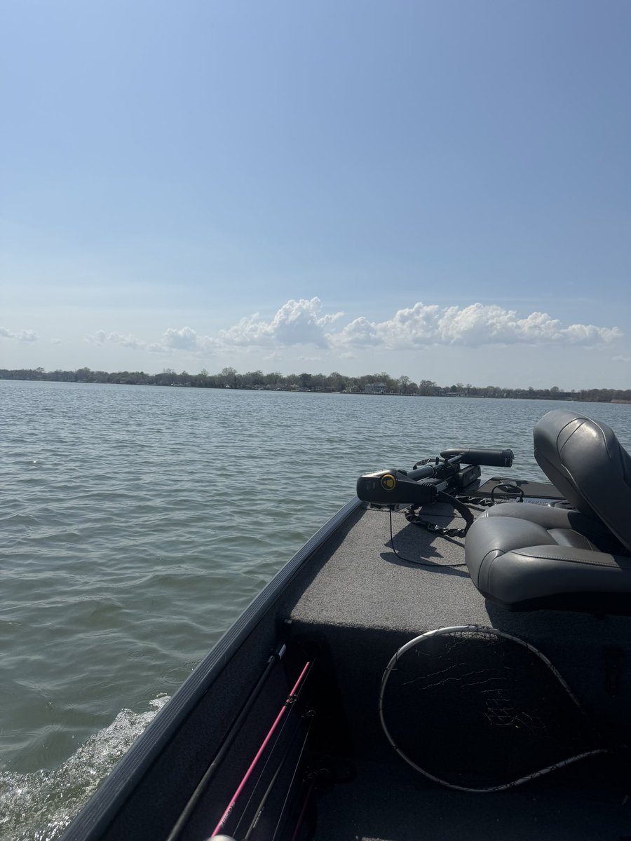 Paulmello tweet media