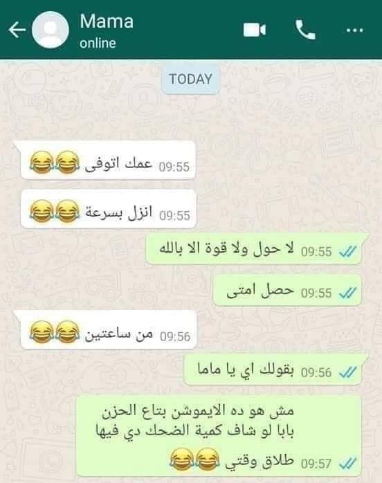 Tamer 𓏏𓄿𓅓𓂋 tweet media