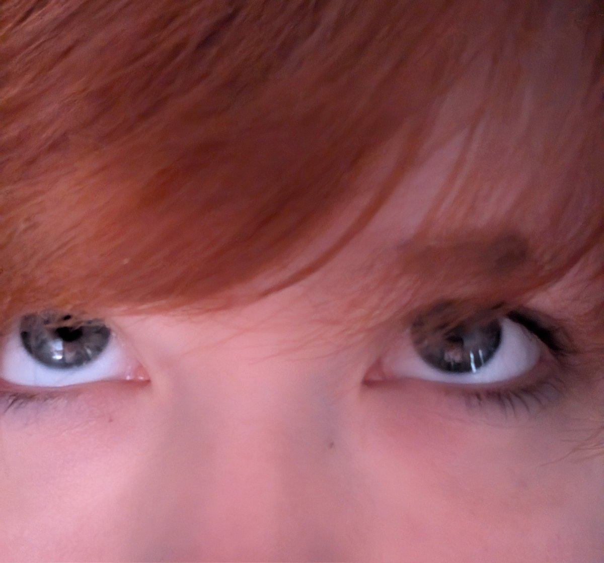 •rizi•🪐•kittenplaynice• tweet media