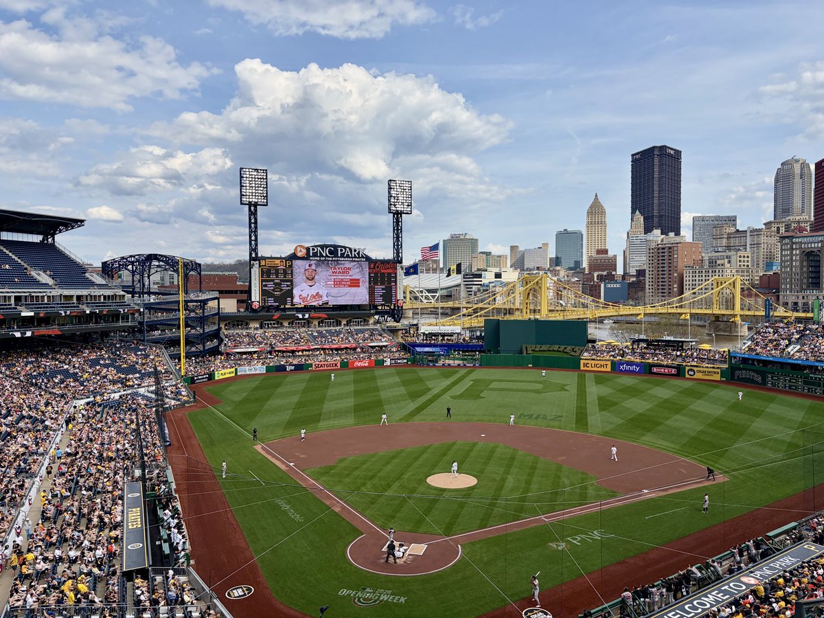 BirdlandNorth tweet media