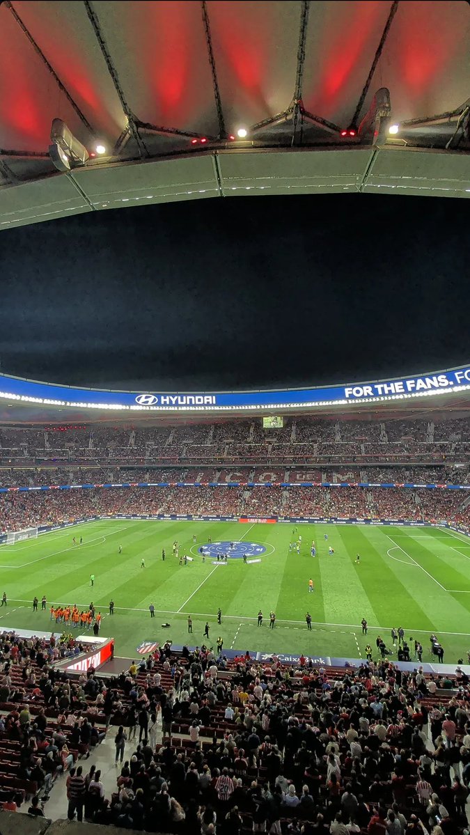 Info Lando Norris tweet media