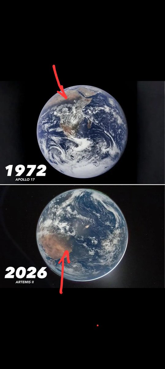 Tomas Brown tweet media