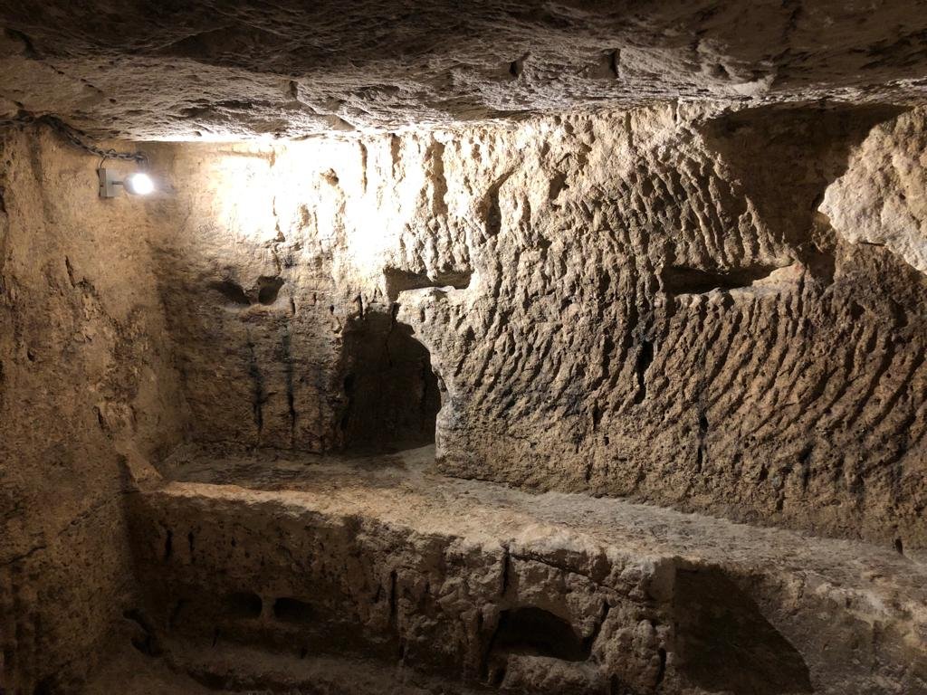 Daniel Herman tweet media