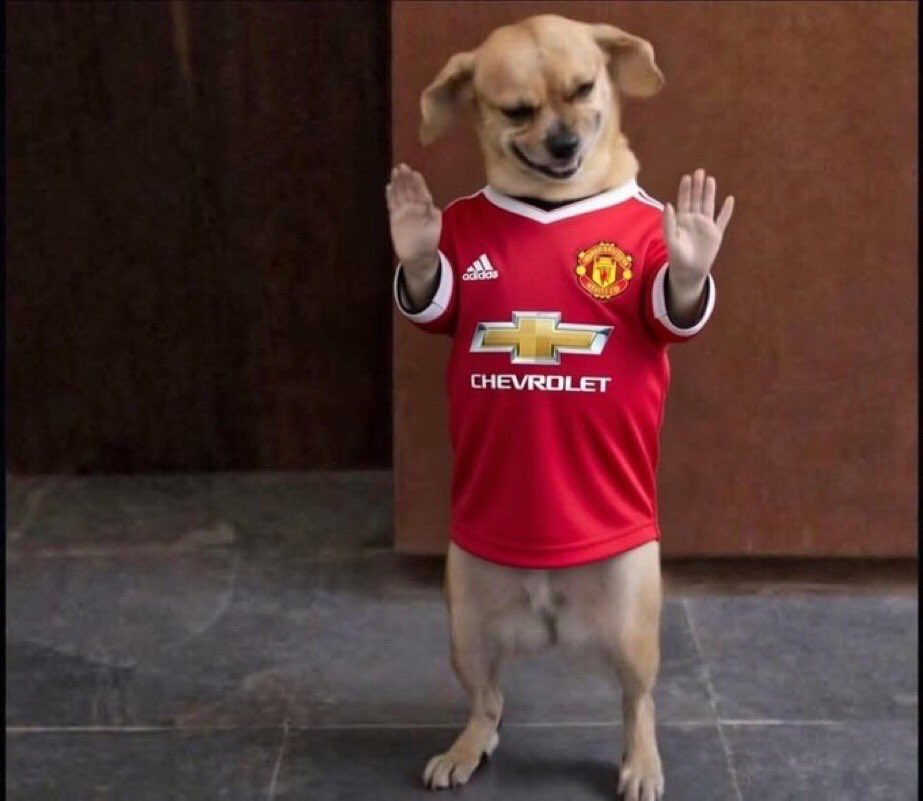 Earlybird (CR7) tweet media