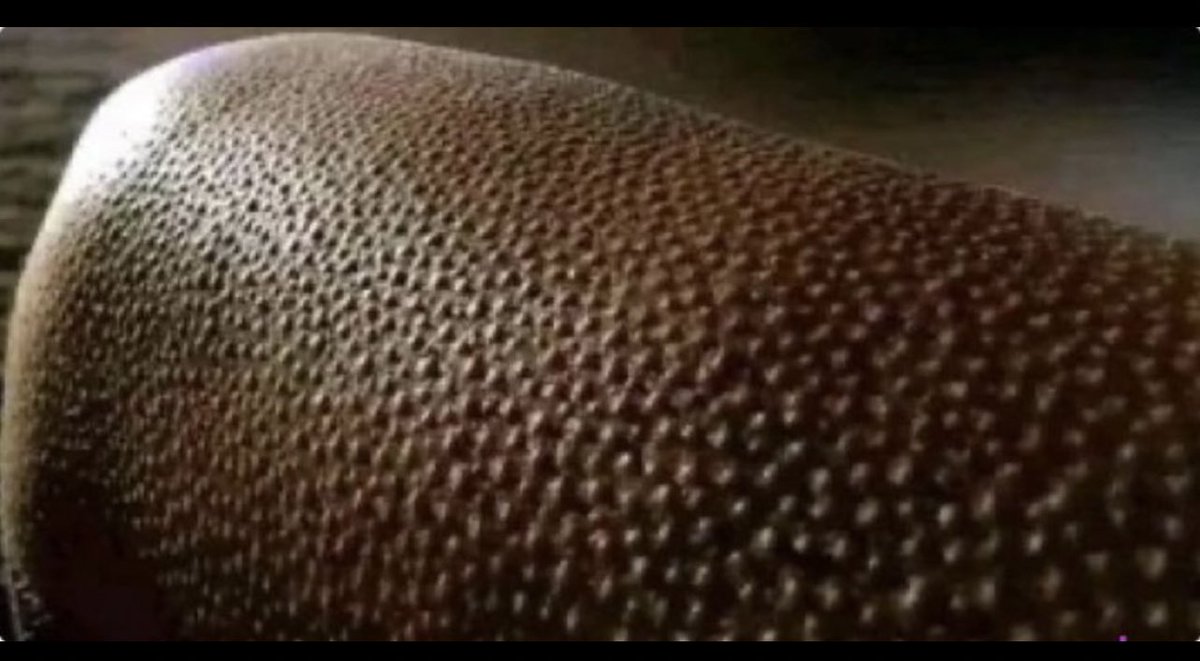 Masavu⚙️ tweet media