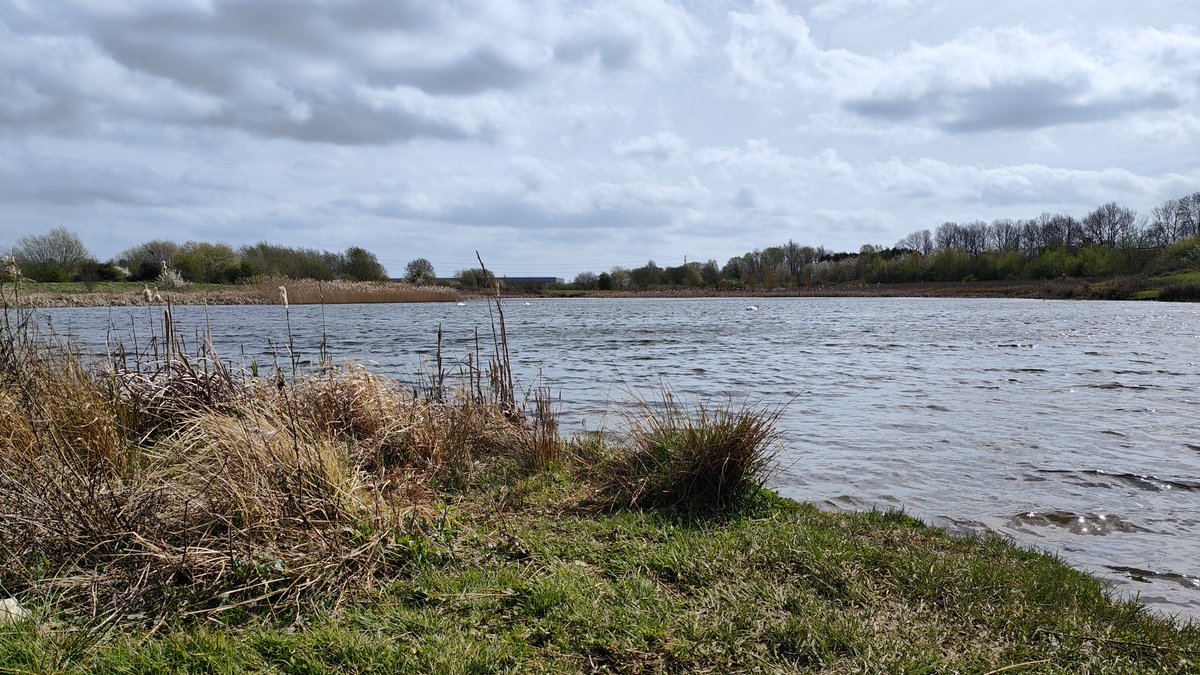 Boo Boo Keys 🐁 tweet media