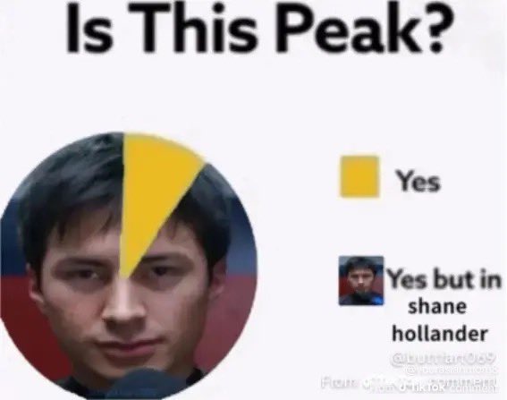 lynns 🦦 tweet media