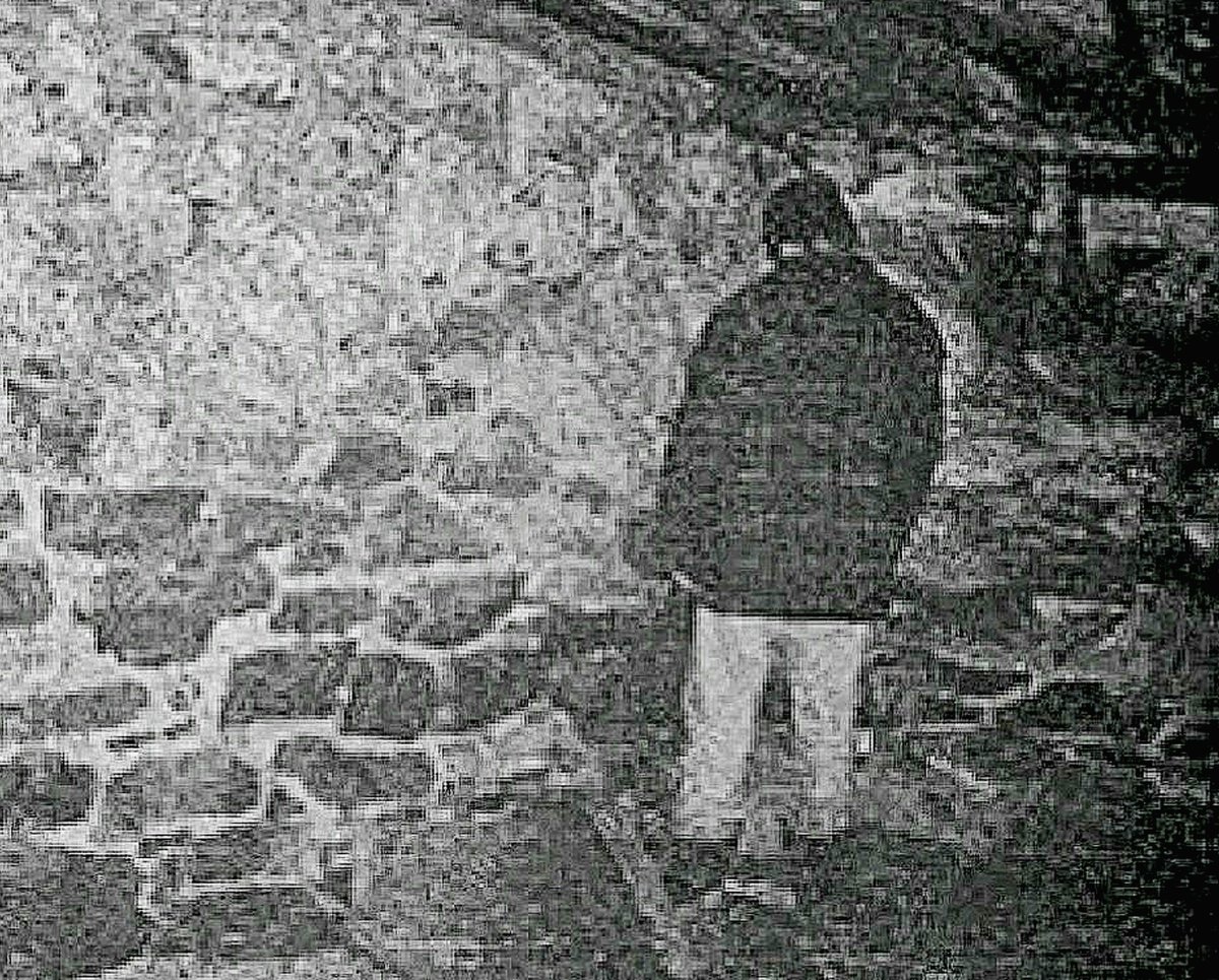 John Watches Horror tweet media