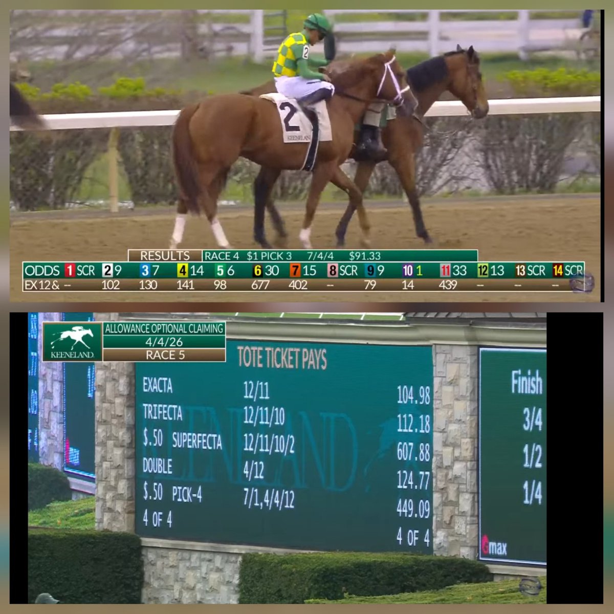 Gulf-SchemePark(Decoupling soon) tweet media