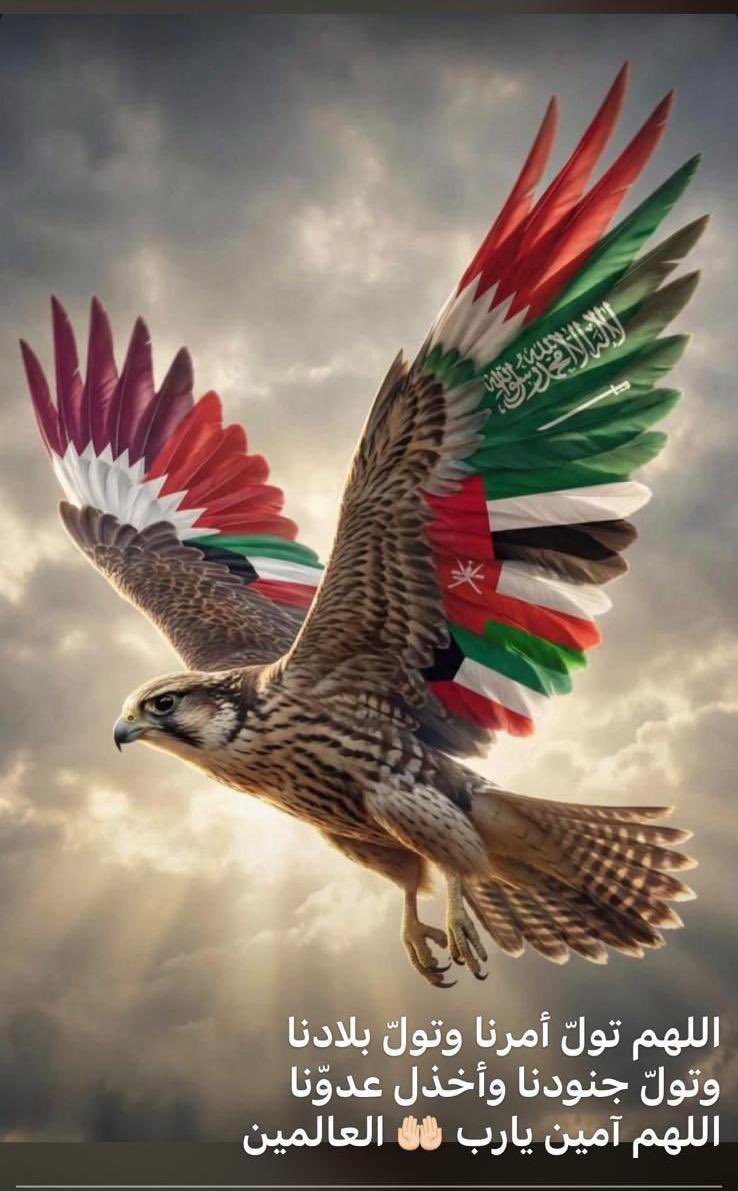 طلال فهد ثنيان الغانم tweet media