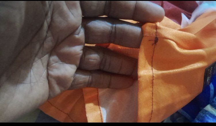 Kayode🎀 tweet media