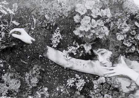 Vulphira's tweet photo. it is spring again, the earth is like a child that knows poems by heart. https://t.co/JBKBw0jcpQ