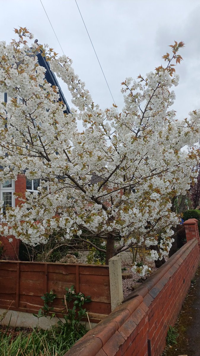 Stockport Conservatives tweet media