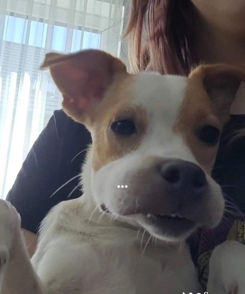 erin ★ tweet media