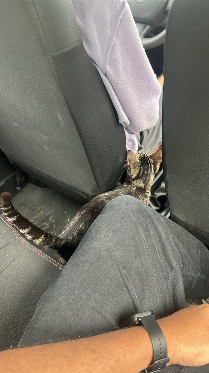 henrique tweet media