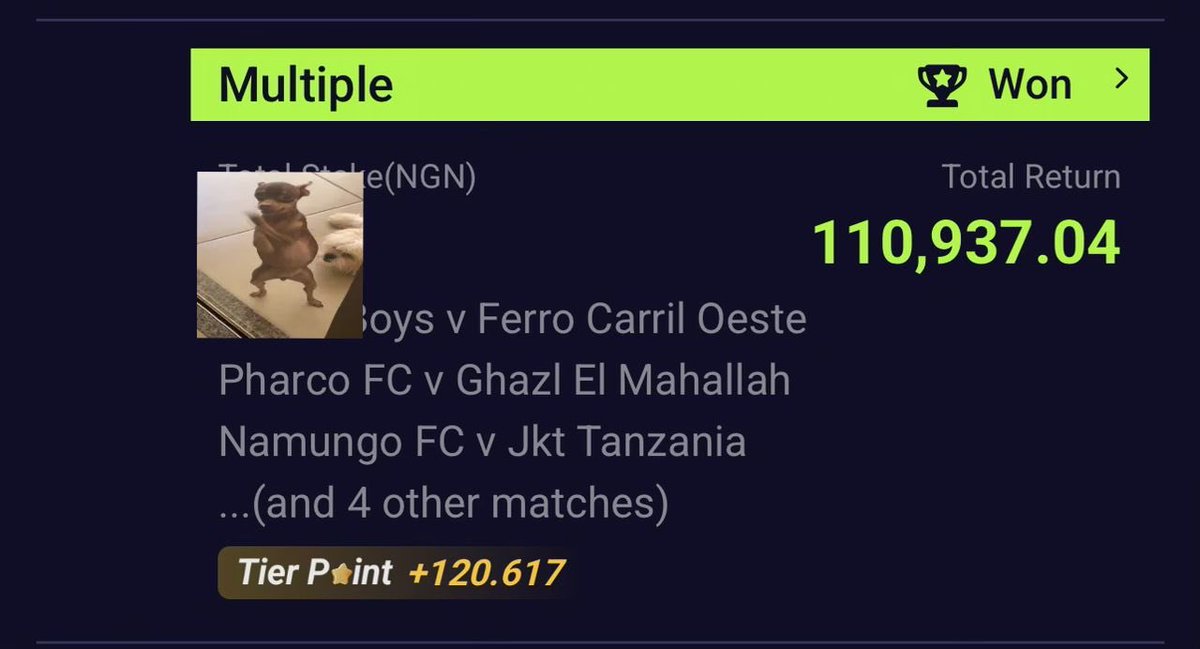 A.S.T.Y🕊️ tweet media