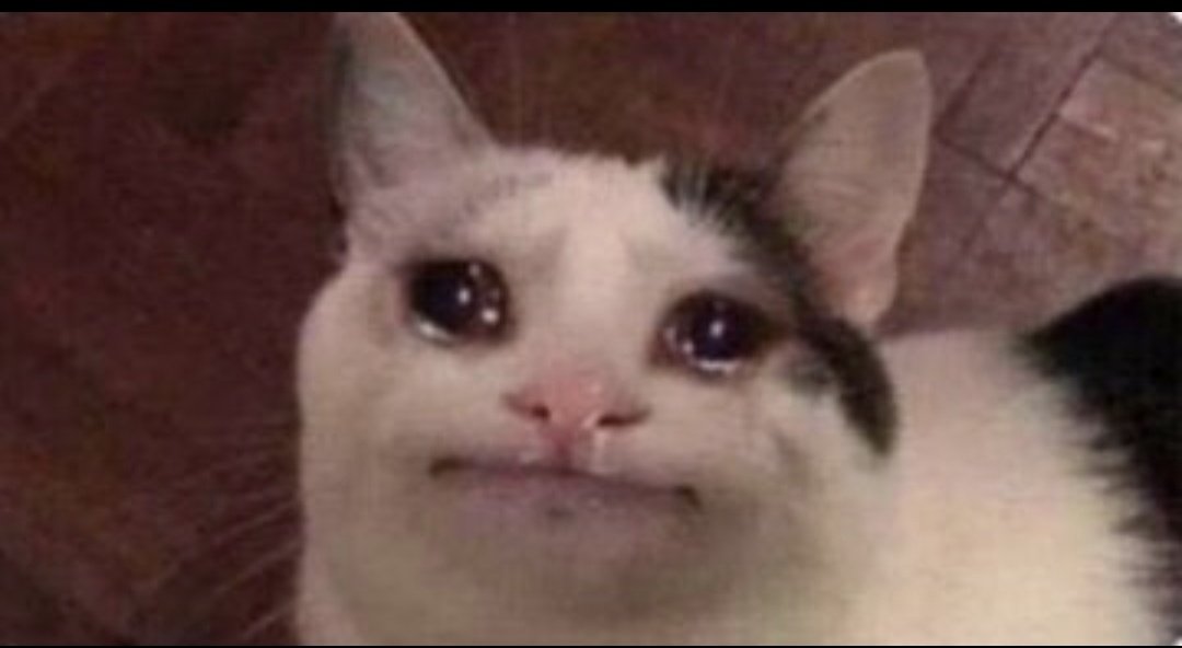 Shuudifonya tweet media