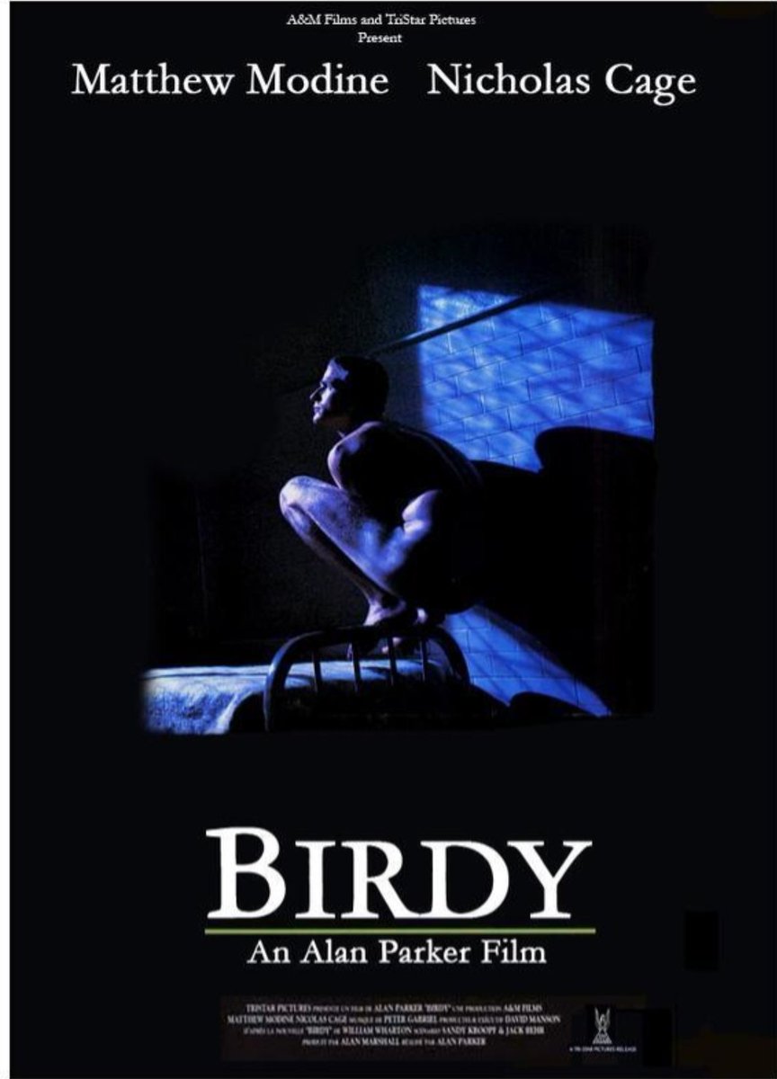 Topo 🐦⬛🐃 tweet media