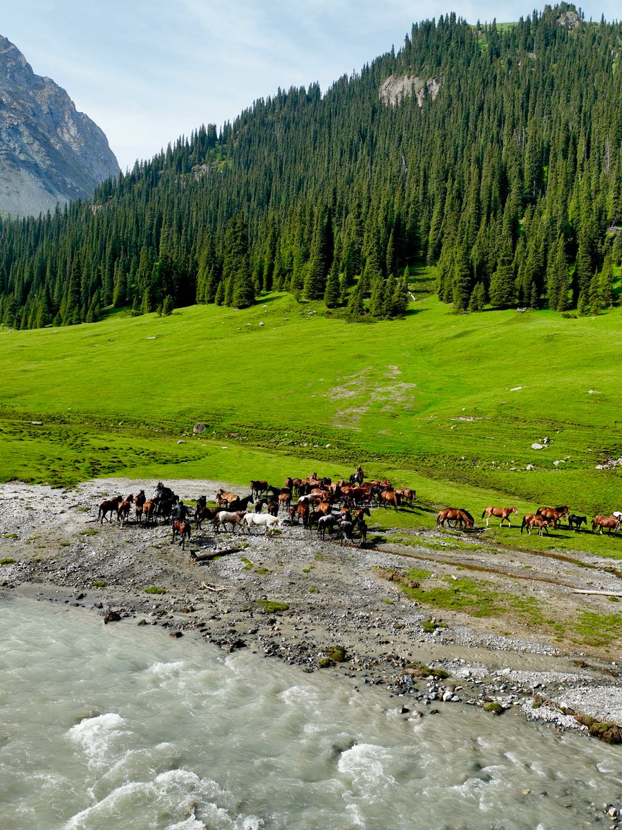 World_aib's tweet photo. Kyrgyzstan https://t.co/4BEyCsGNsb