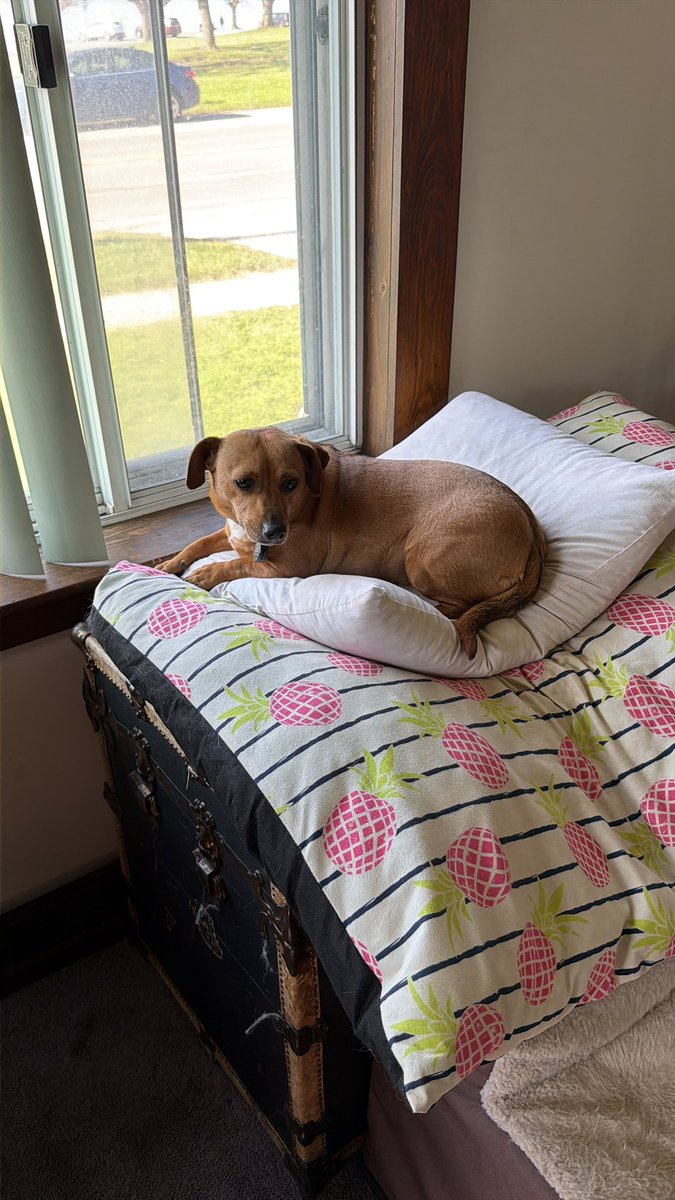 Duane Steinel tweet media