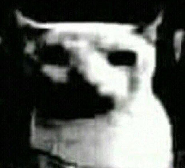 léa ✮⋆˙ tweet media