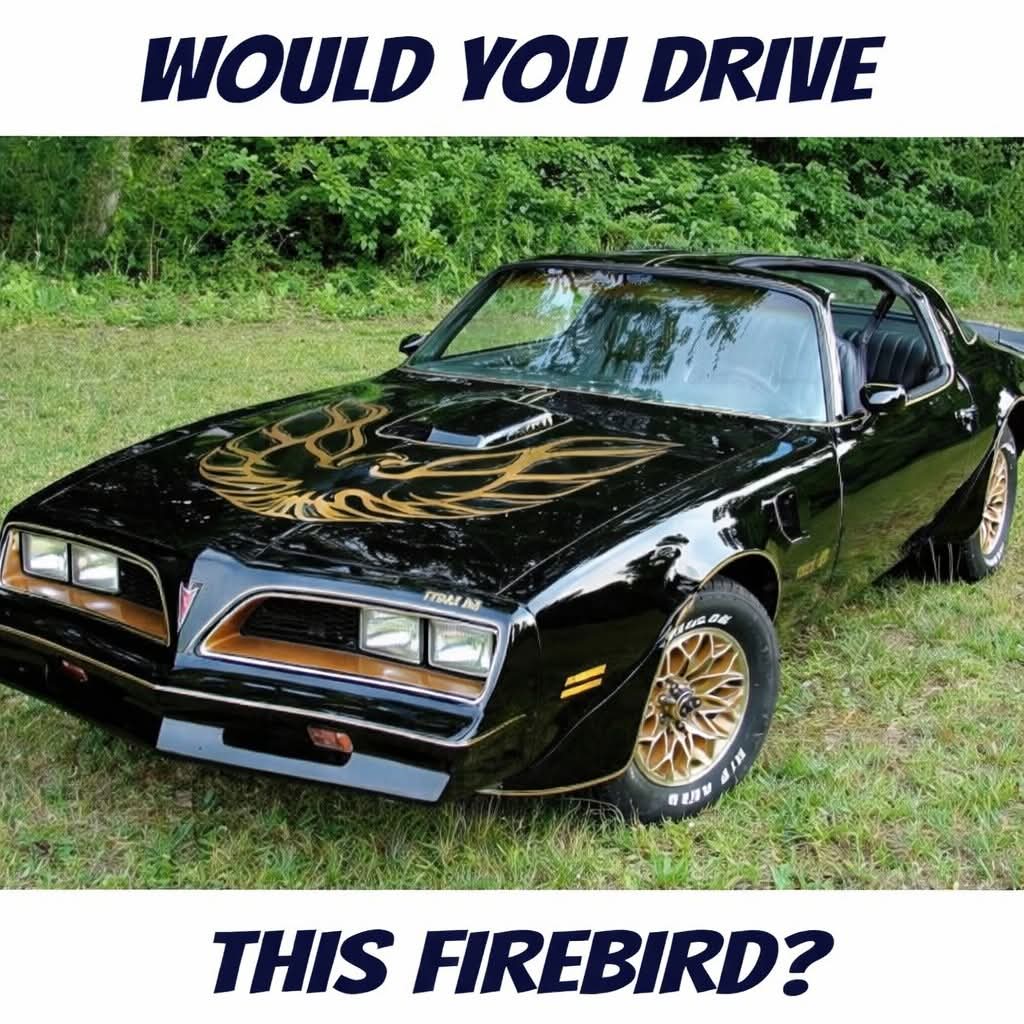 Elizabeth❣️ tweet media