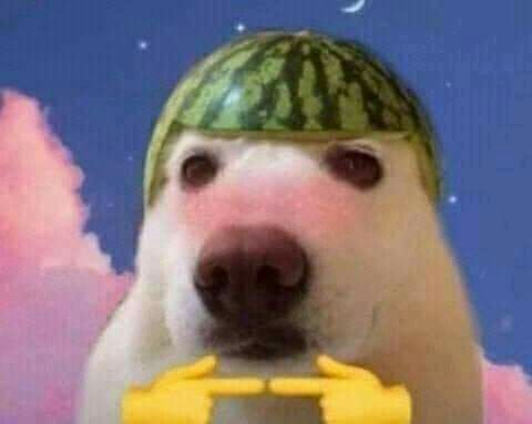ServerExploit's tweet photo. Looking for gaming moots! (^.^)/
24 he/him
val, ow, mc, dbd, roblox, genshin, phasmo
🇧🇪 Belgium, EUW
Please dm me if you want to play! (^O^)/
I love sleeping, music, and cats

♡︎/⟳ to be mutuals 

#moothunting,#moots,#promotwt https://t.co/rAkCGcIhk6
