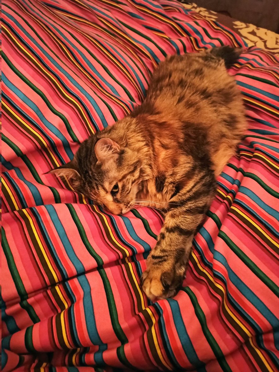 Dimitris Alexiou tweet media