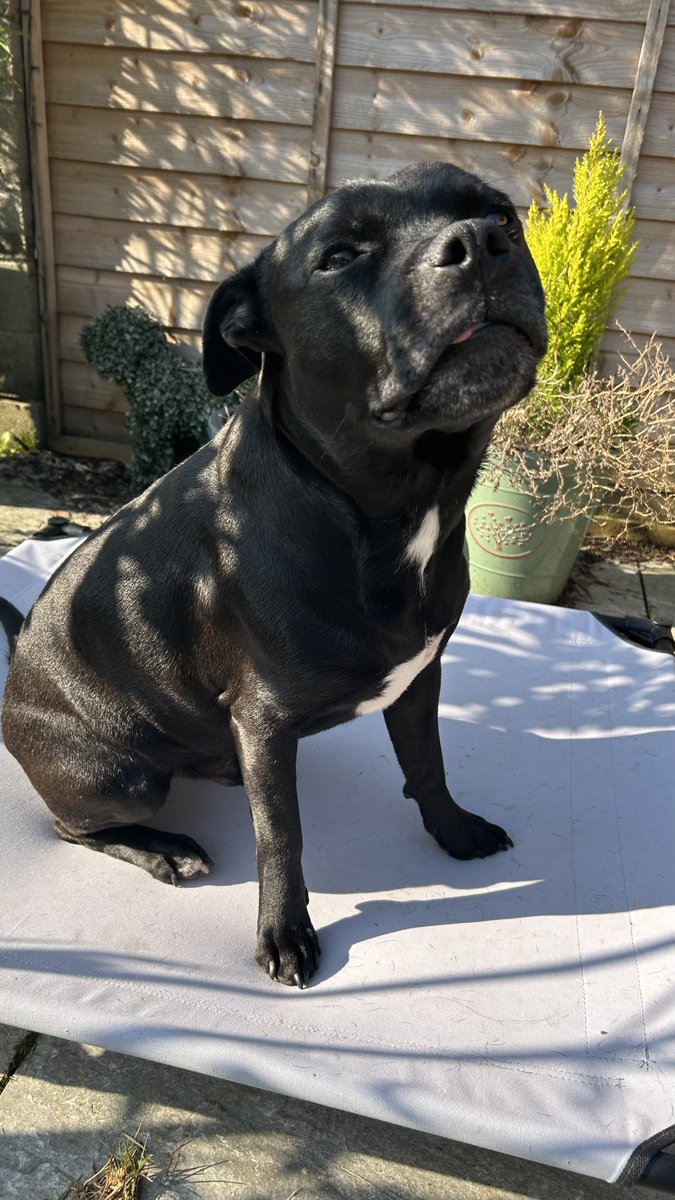 Baby Frank & his teddy, Edward 🧸🏴 tweet media