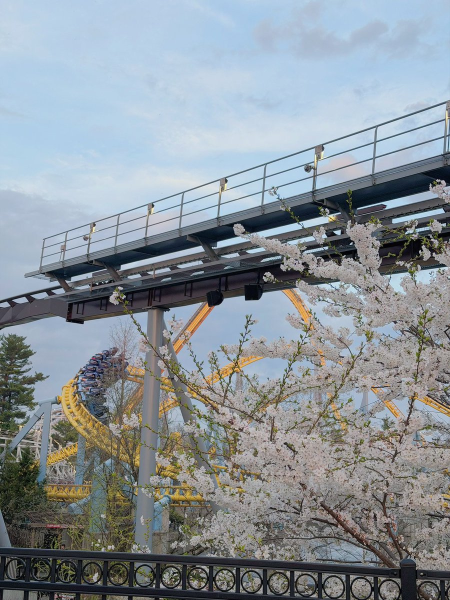 Kate 🎀 tweet media