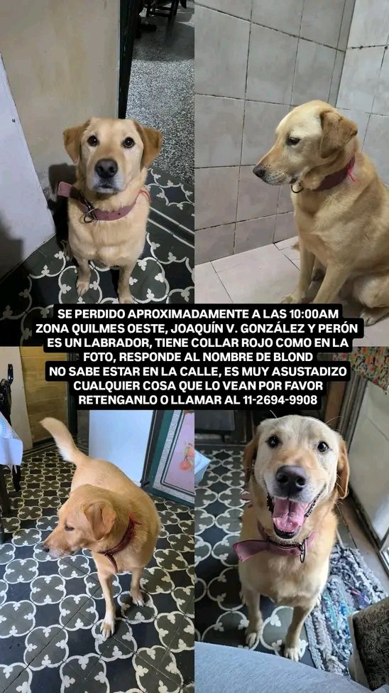 Jimena Torres ⭐️⭐️⭐️ tweet media