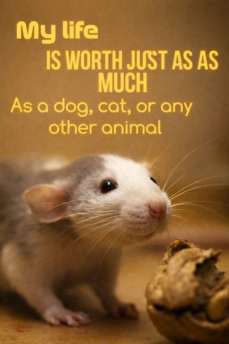 It is wee sweetheart 💚💚💚💚💚💚💚💚💚💚