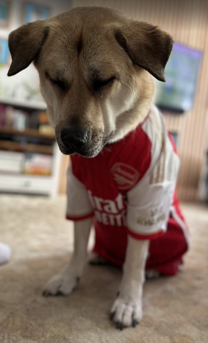 David "Stargate Genius Leader" Hewlett tweet media