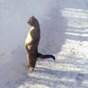 x - Minnesota Wild tweet media