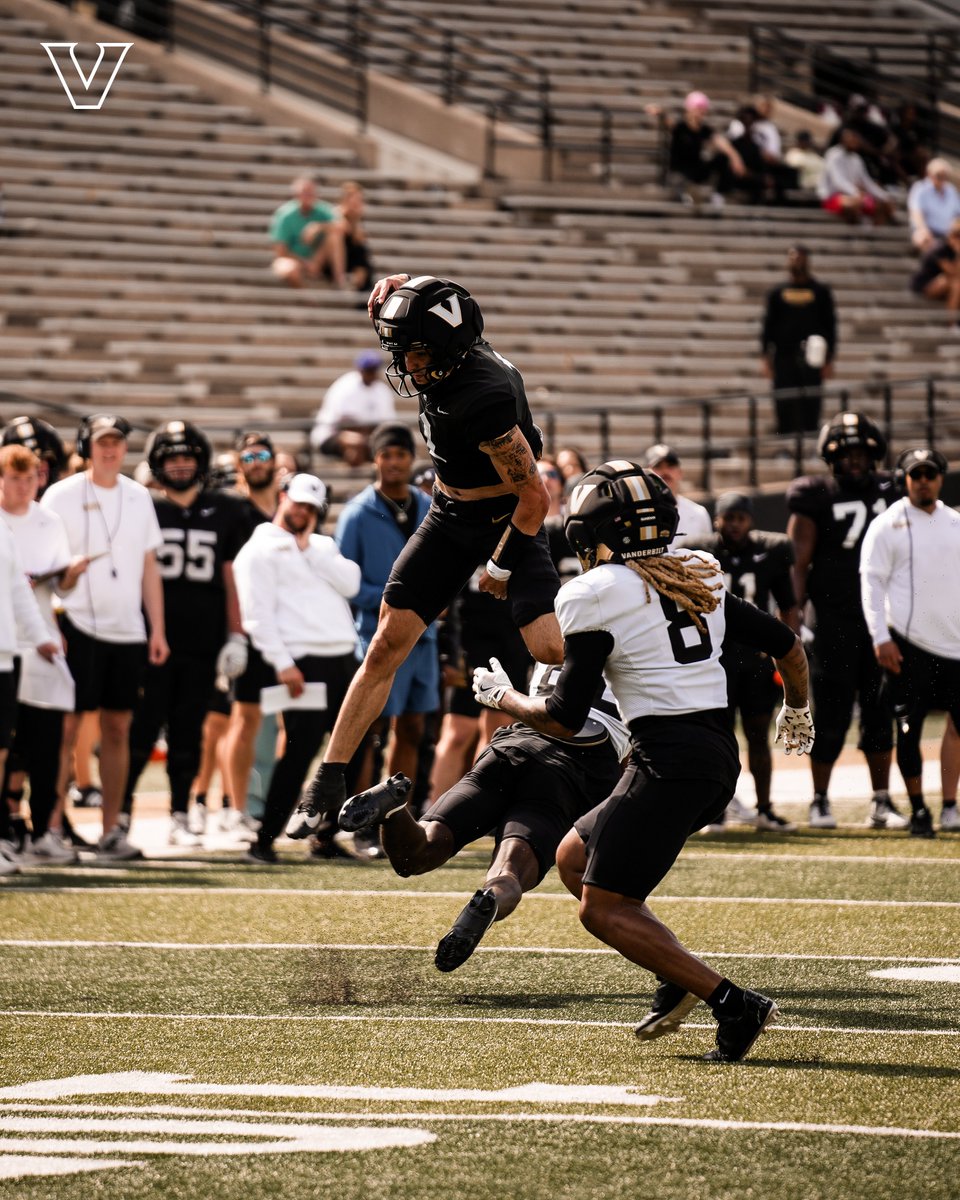 Momo (Vandy Mapper) ⚓️⬇️ tweet media