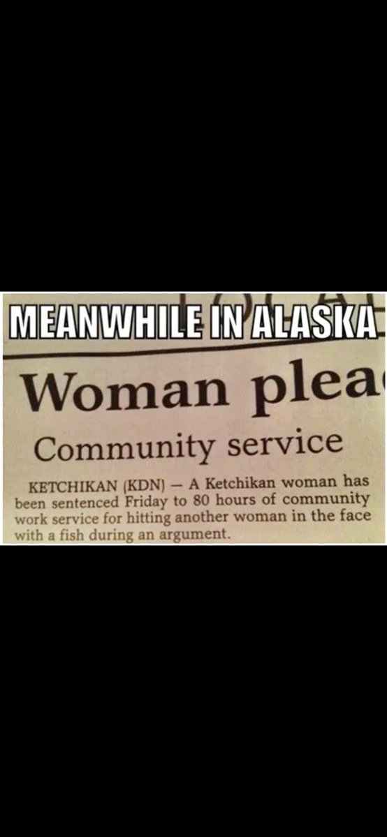 Alaska Kat tweet media