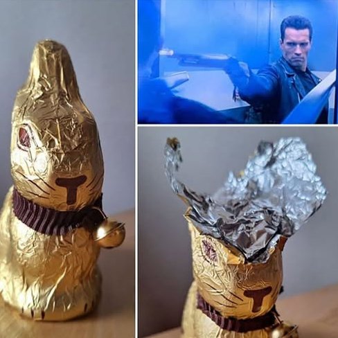 Franz Hrad i kot Burbon tweet media