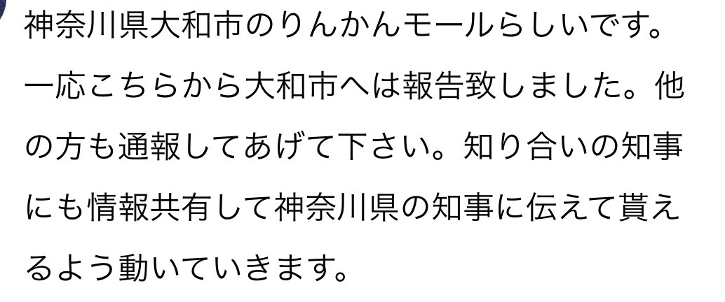 にゃんこ tweet media
