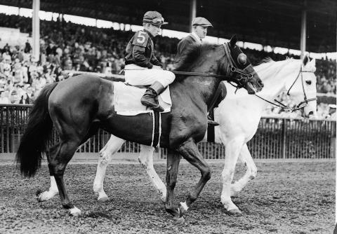 America'sBestRacing tweet media