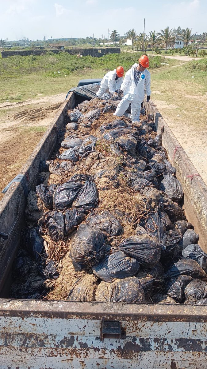 Petróleos Mexicanos tweet media