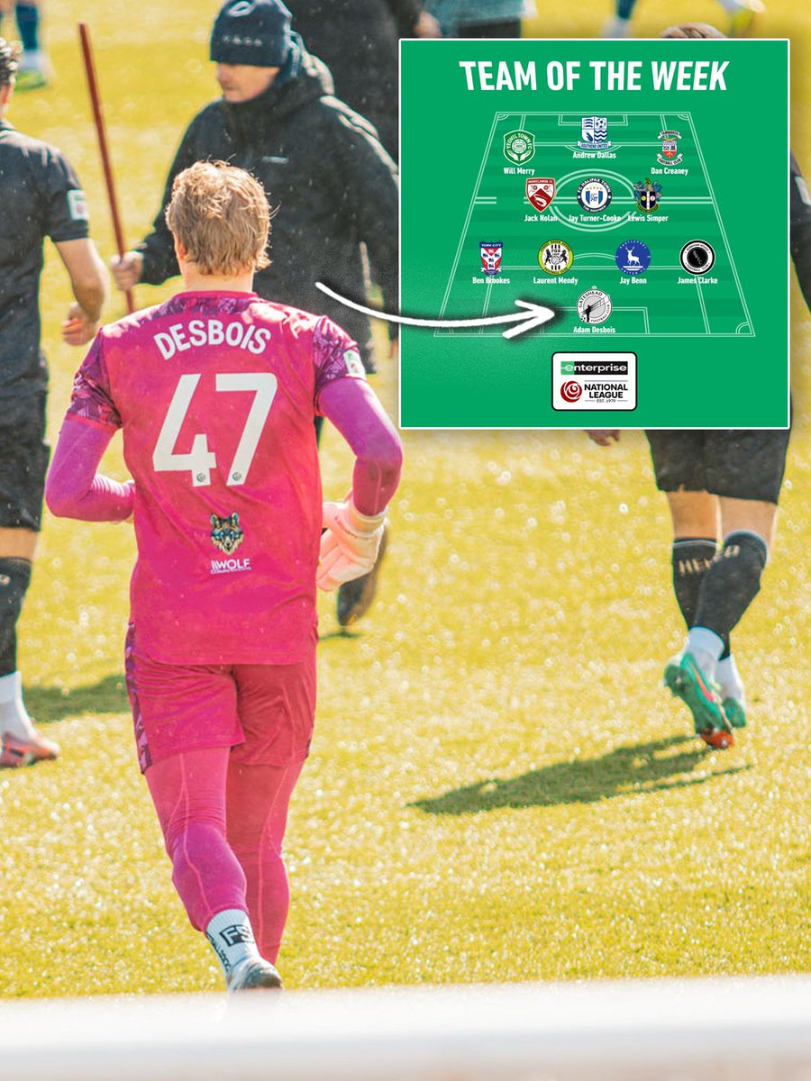 Gateshead FC tweet media