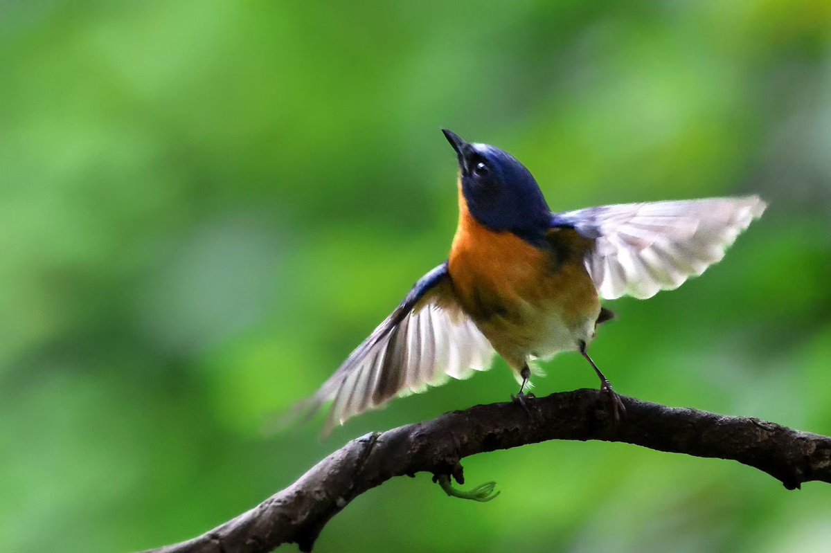 Anna 🇺🇸🇺🇸🇺🇸 tweet media