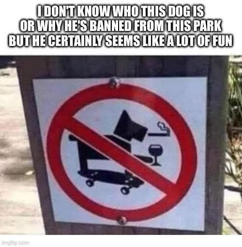 Marti Lawrence tweet media