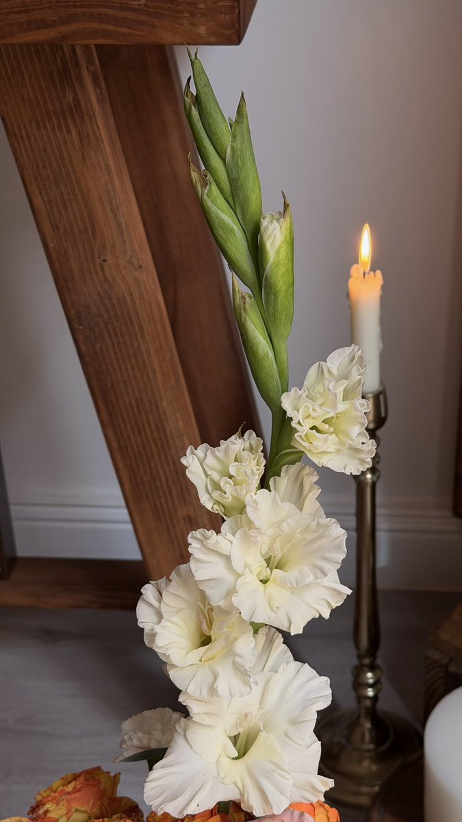 نــَـدى tweet media