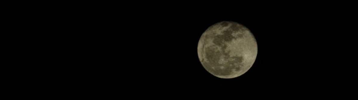 Surréalismiste tweet media