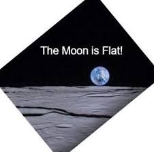 Fuk elon musk, MAGA and donald trump tweet media