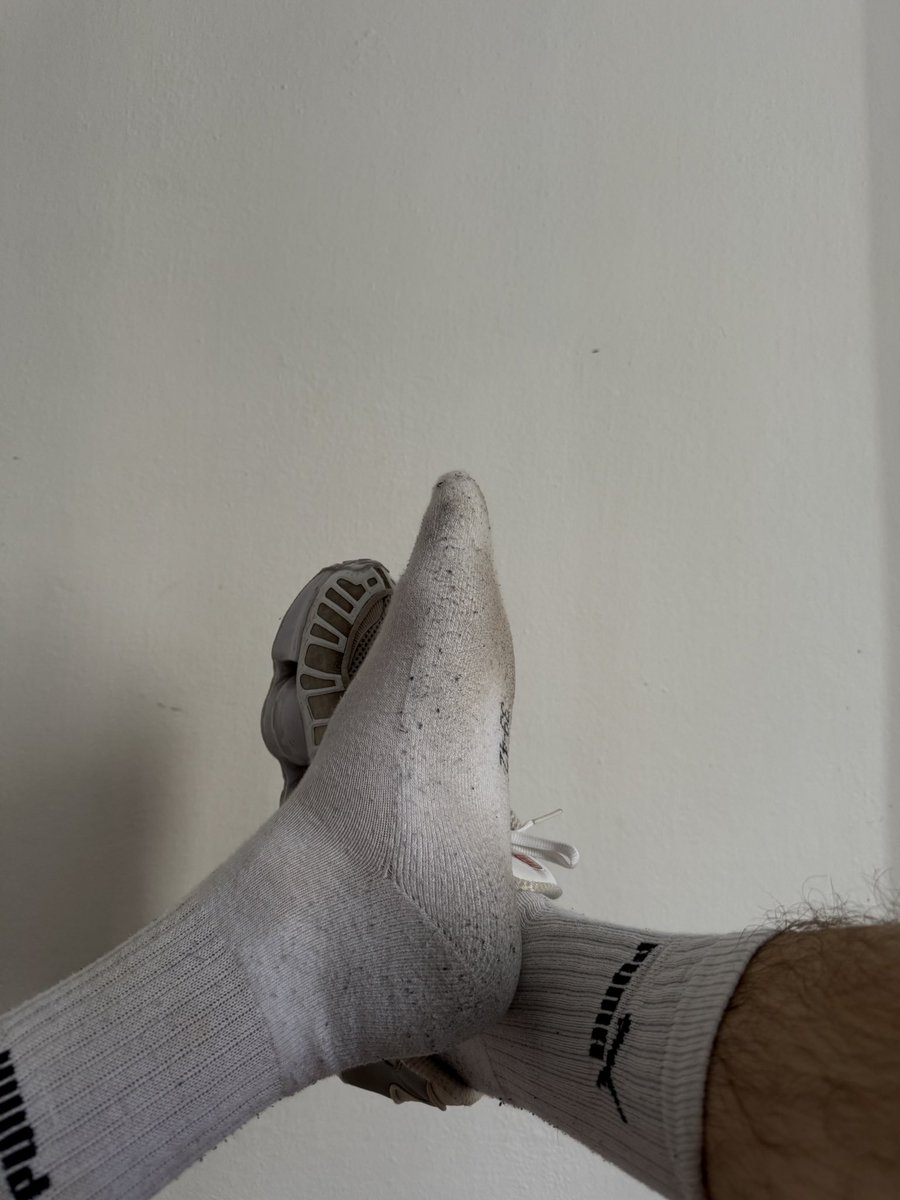 Master Dominik tweet media