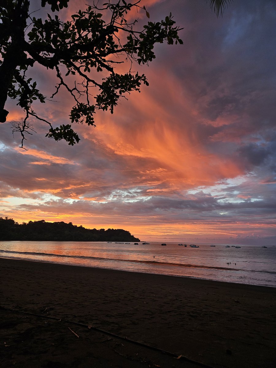 Akshaya Krishnamoorthy tweet media